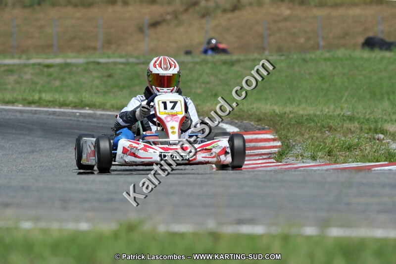 DSC_ (446).jpg